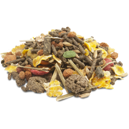 VERSELE LAGA - Porquinhos-da-índia com muesli crocante