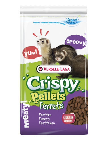 VERSELE LAGA - Croccanti Pellet Furetti