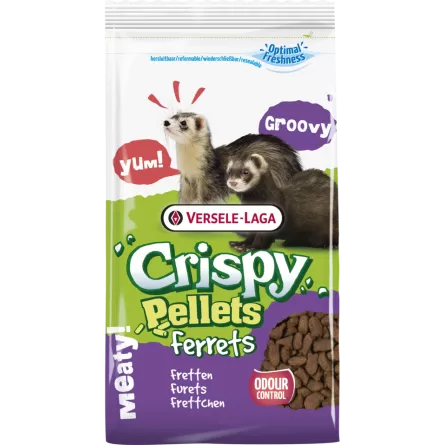 VERSELE LAGA - Crispy Pellets Ferrets VERSELE LAGA - Crispy Pellets Ferrets