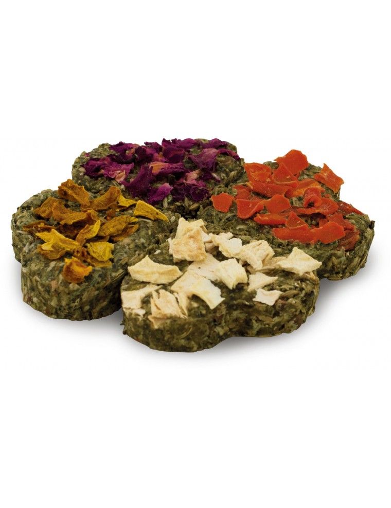 JR FARM - Grainless Quatuor