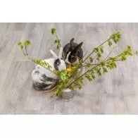 TRIXIE - Comedero de Cerámica y Madera