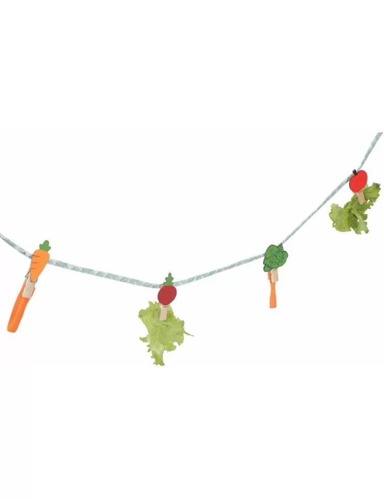 ZOLUX - NEOLIFE Treat Rope for Rabbit