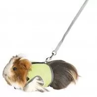 TRIXIE - Harness for Guinea Pigs with Leash TRIXIE - Harness for Guinea Pigs with Leash