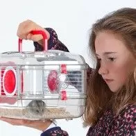 ZOLUX - Käfig „Rody 3 mini“ für kleine Nagetiere ZOLUX - Käfig „Rody 3 mini“ für kleine Nagetiere