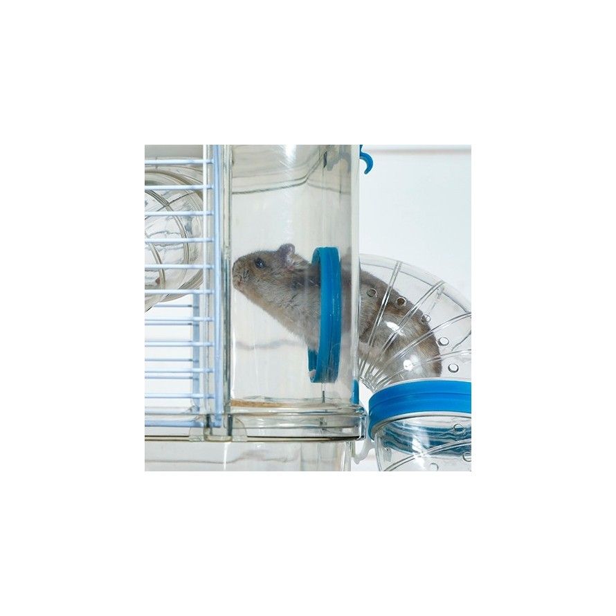 Cage ZOLUX Rody 3 Mini pour Petits Rongeurs - Confort et Style