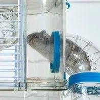 ZOLUX - Käfig „Rody 3 mini“ für kleine Nagetiere ZOLUX - Käfig „Rody 3 mini“ für kleine Nagetiere