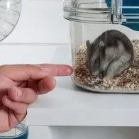 ZOLUX - Käfig „Rody 3 mini“ für kleine Nagetiere ZOLUX - Käfig „Rody 3 mini“ für kleine Nagetiere