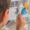 ZOLUX - “Rody 3 Duo” cage for small rodents ZOLUX - “Rody 3 Duo” cage for small rodents