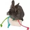 TRIXIE - Snack Cube - Intelligence Toy TRIXIE - Snack Cube - Intelligence Toy