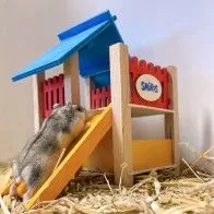 DUVO+ - “Smurfs” play area for small rodents DUVO+ - “Smurfs” play area for small rodents