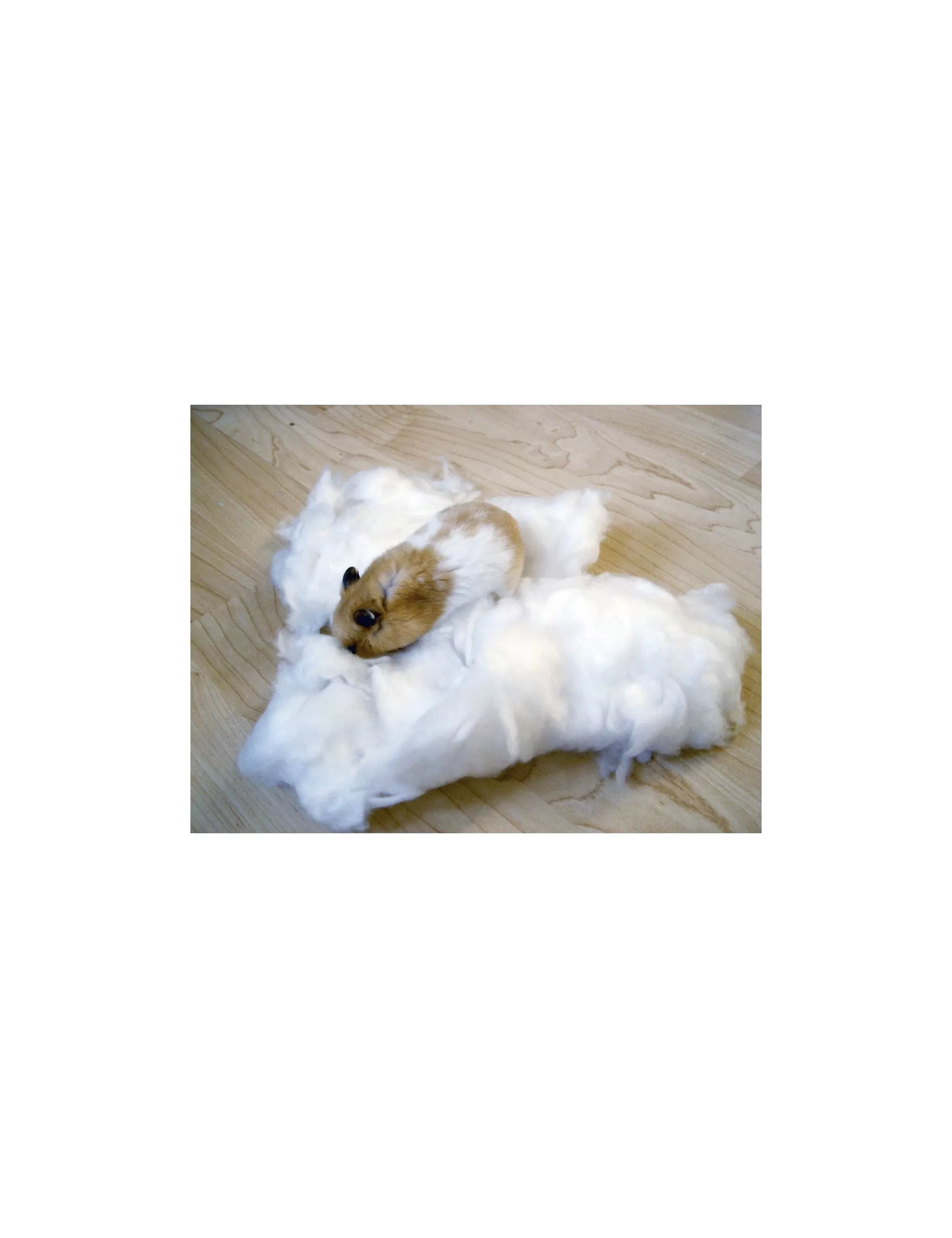 KERBL – Weiße oder farbige Baumwolle zum Nisten KERBL – Weiße oder farbige Baumwolle zum Nisten