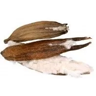 JR FARM - Kapok  JR FARM - Kapok