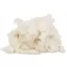 VITACRAFT - Coton naturel pour nidification VITACRAFT - Coton naturel pour nidification