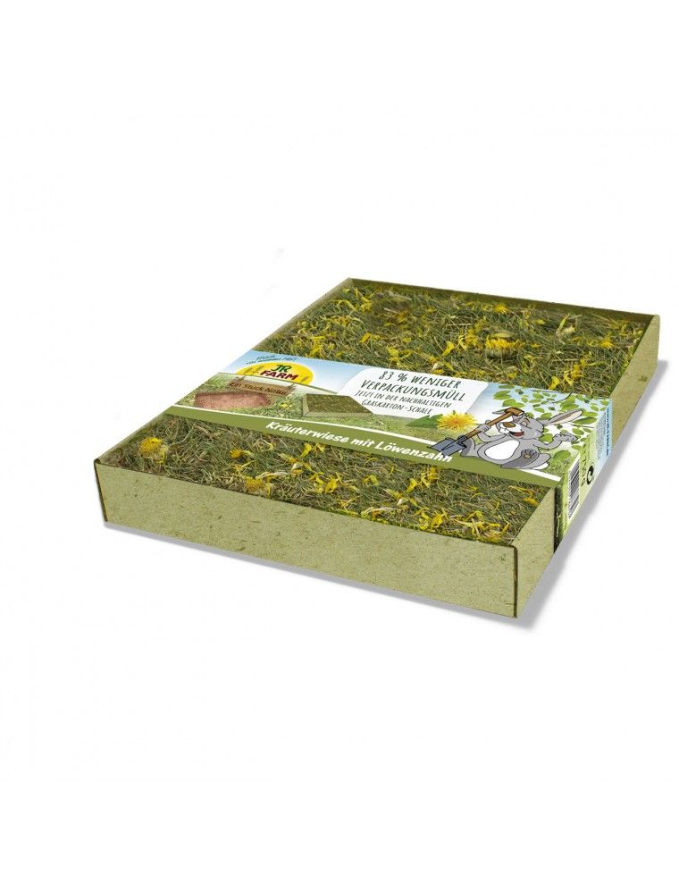 JR FARM - Digging Mat "Dandelions"