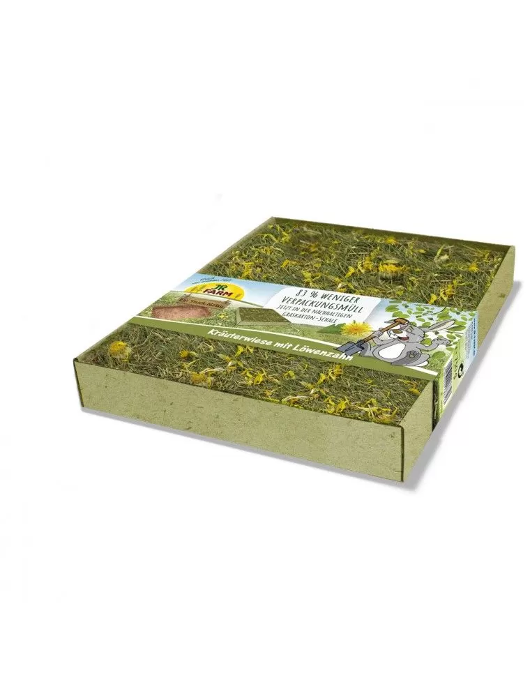 JR FARM - Digging Mat "Dandelions"