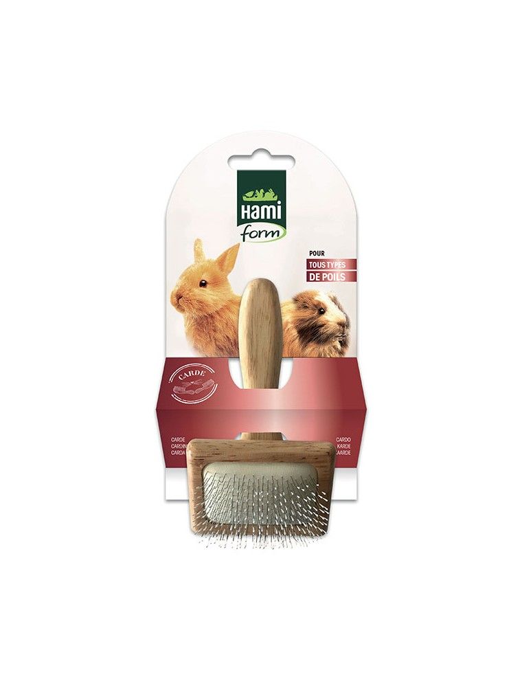 HAMIFORM - Brosse Carde en Bois