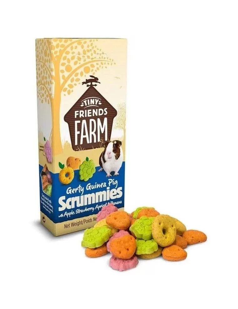 TINY FRIENDS FARM - Gerty Guinea Pig Scrummies