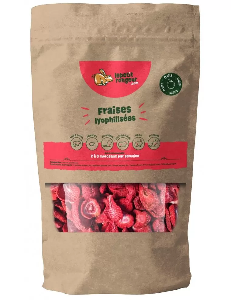 DAS KLEINE NAGETT –...