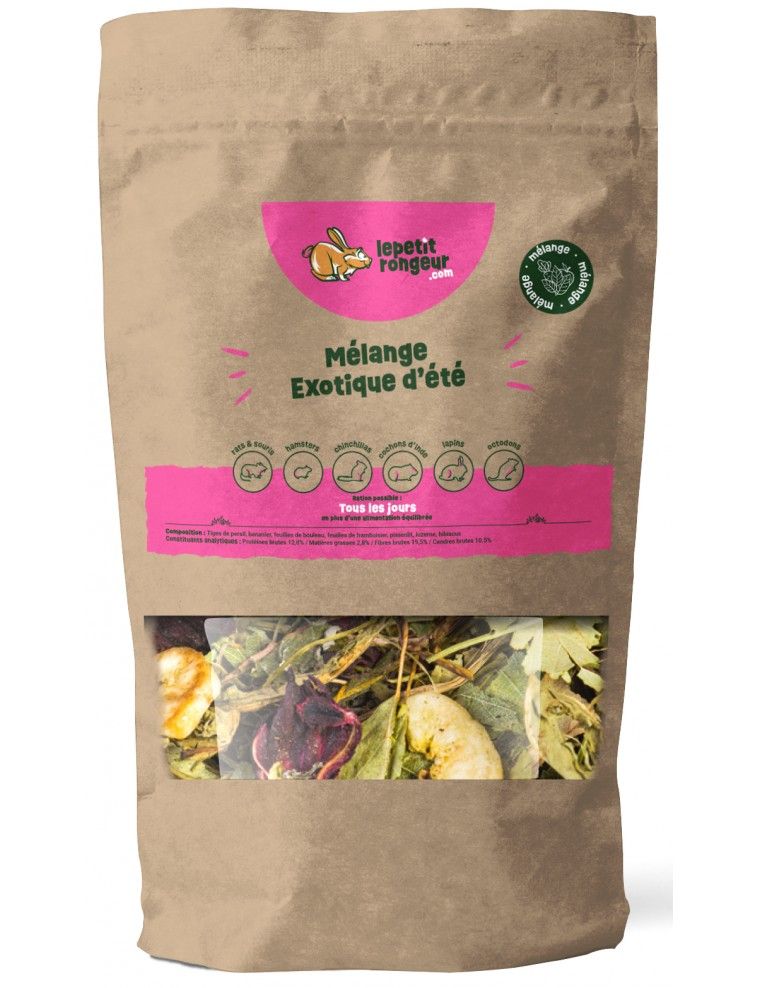 THE LITTLE RODENT –...