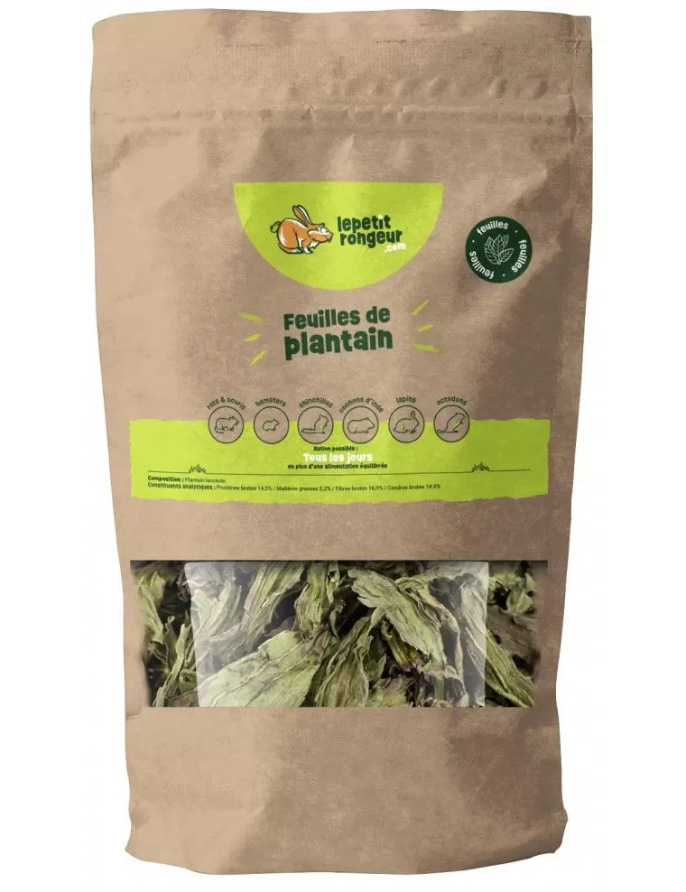 O PEQUENO ROEDOR - Plantain...