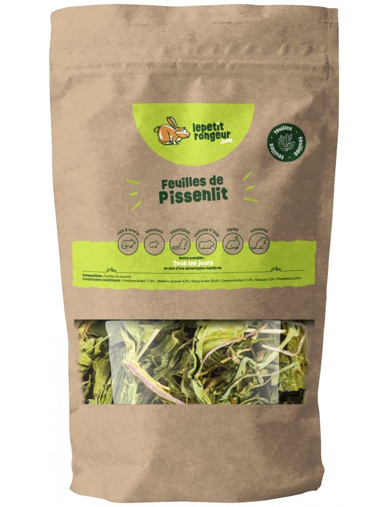 IL PICCOLO RODITORE -...