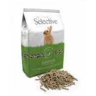 CIENE SELETIVA - Coelho Junior CIENE SELETIVA - Coelho Junior
