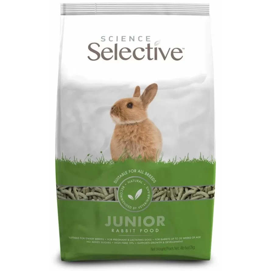 CIENE SELETIVA - Coelho Junior CIENE SELETIVA - Coelho Junior