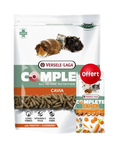 Complete Cavia + Crock Carrotte Offert