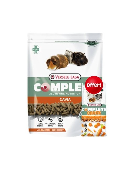 Complete Cavia + Crock Carrotte Offert