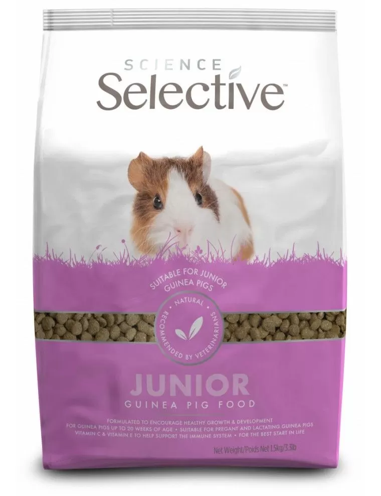 SELEKTIVE WISSENSCHAFT – Junior-Meerschweinchen