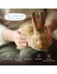 SecureBunny Home - Diffuseur de Phéromones Anti-Stress