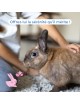 SecureBunny Home - Diffuseur de Phéromones Anti-Stress