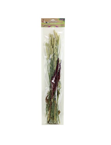 ESVE Pet Bouquet – Buquê...