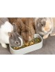 TRIXIE – Gamelle en céramique double pour lapins & rongeurs – 600 ml – 22×10 cm