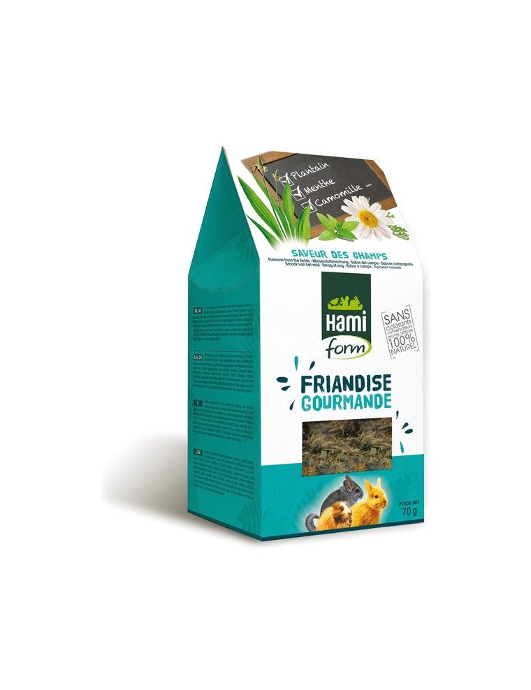 HAMIFORM - Gourmet Treat -...