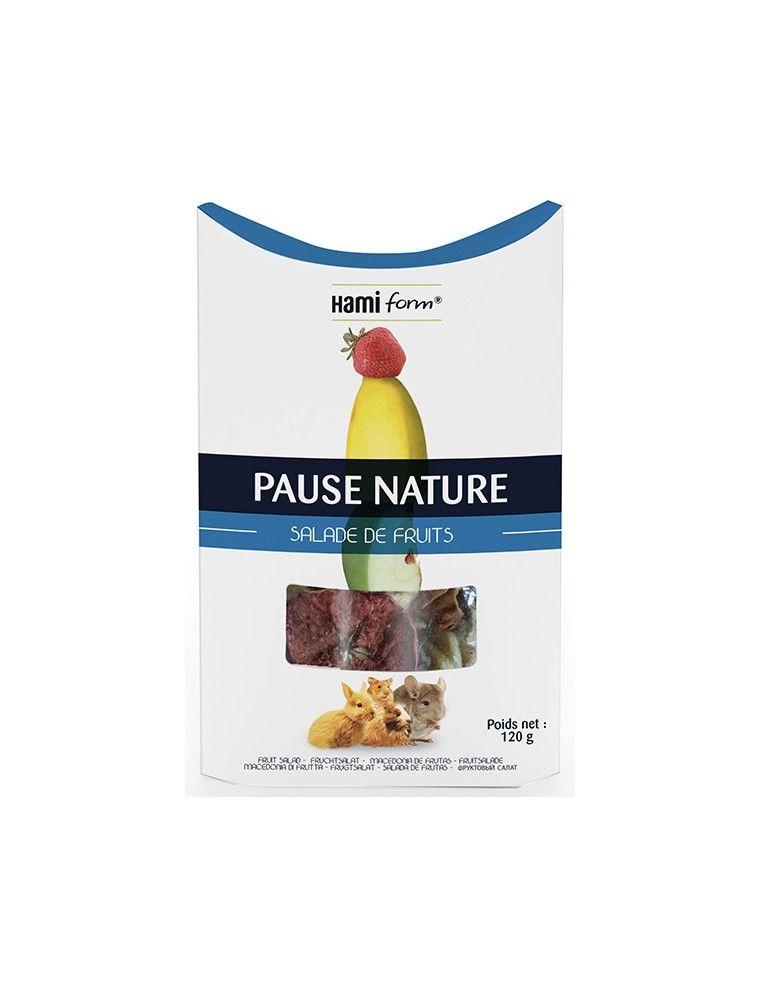HAMIFORM - Pause Nature - Salade de Fruits