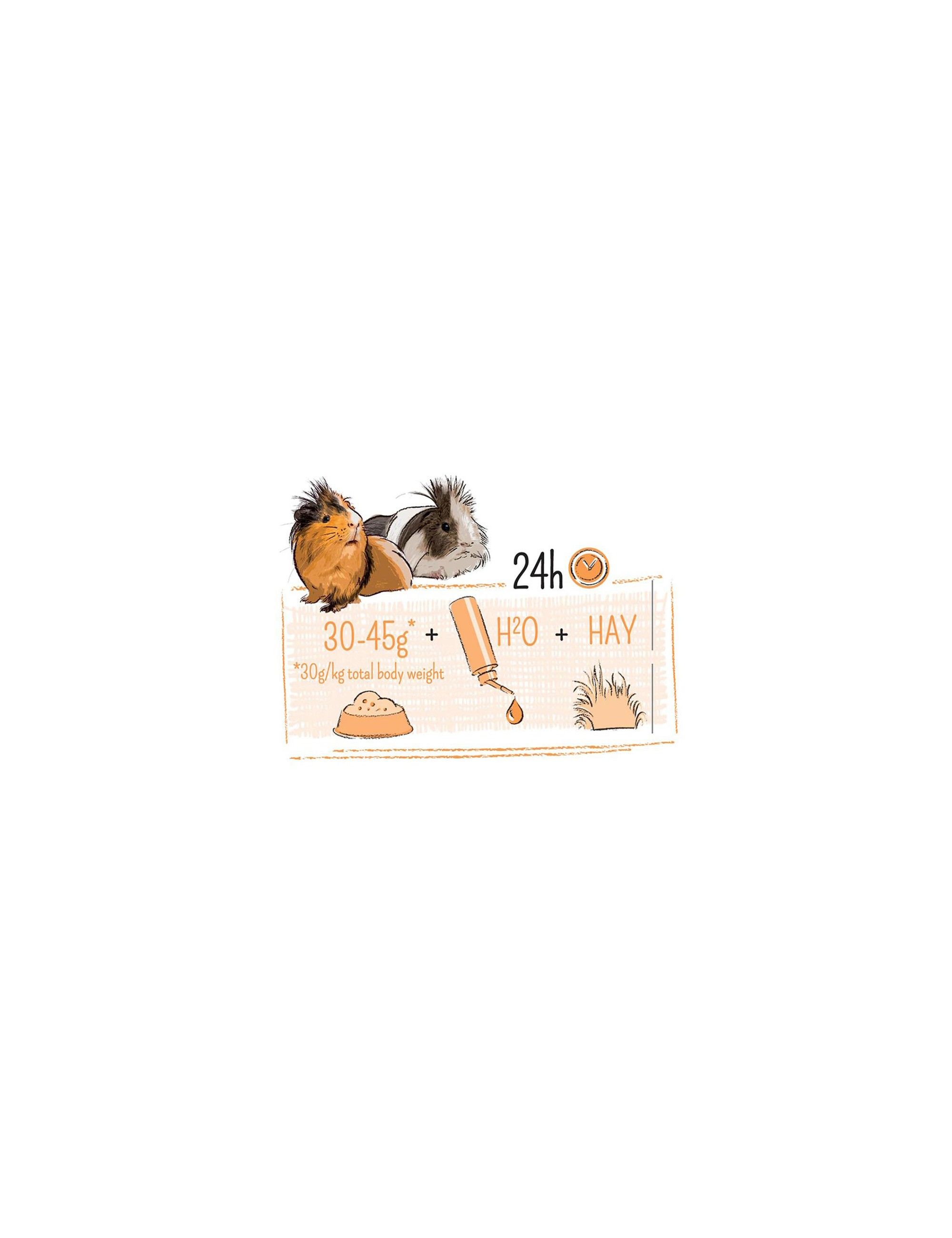 WITTE MOLEN - Puur Sensitive Guinea Pig - Just For Guinea Pigs With Sensitive Stomachs
