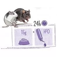 WITTE MOLEN - Puur Rato WITTE MOLEN - Puur Rato