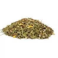 VADIGRAN - Terra Conejillo de Indias