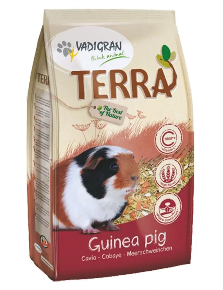 VADIGRAN - Terra Guinea Pig