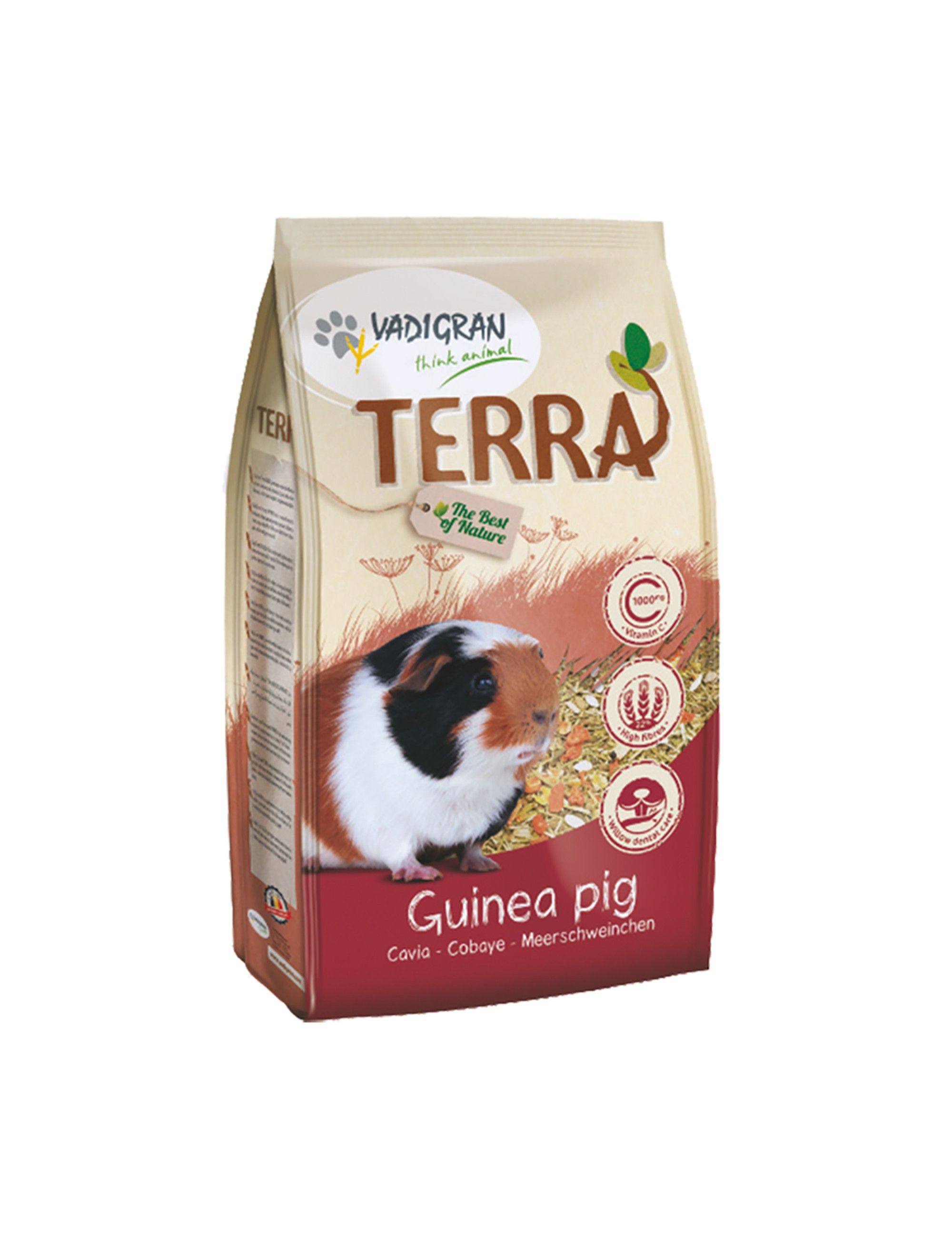 VADIGRAN - Terra Guinea Pig