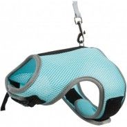 Harness