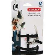 Harness