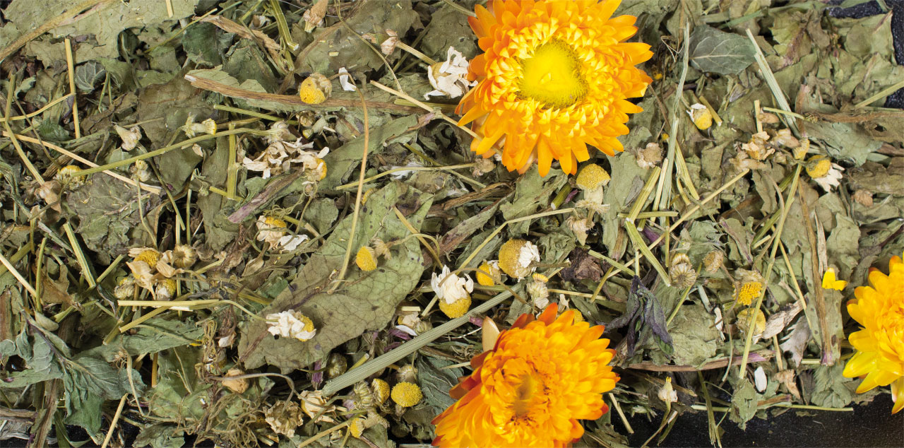 JR FARM - Grainless Plus Chamomile - Dandelions