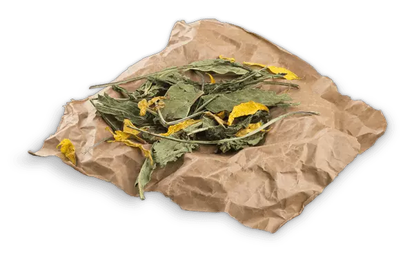 BUNNY NATURE - BOTANICALS Mid Mix - Echinacea e Fiori di Girasole