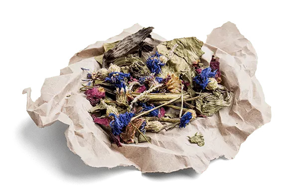 BUNNY NATURE - BOTANICALS Mid Mix - Echinacea e Mirtilli