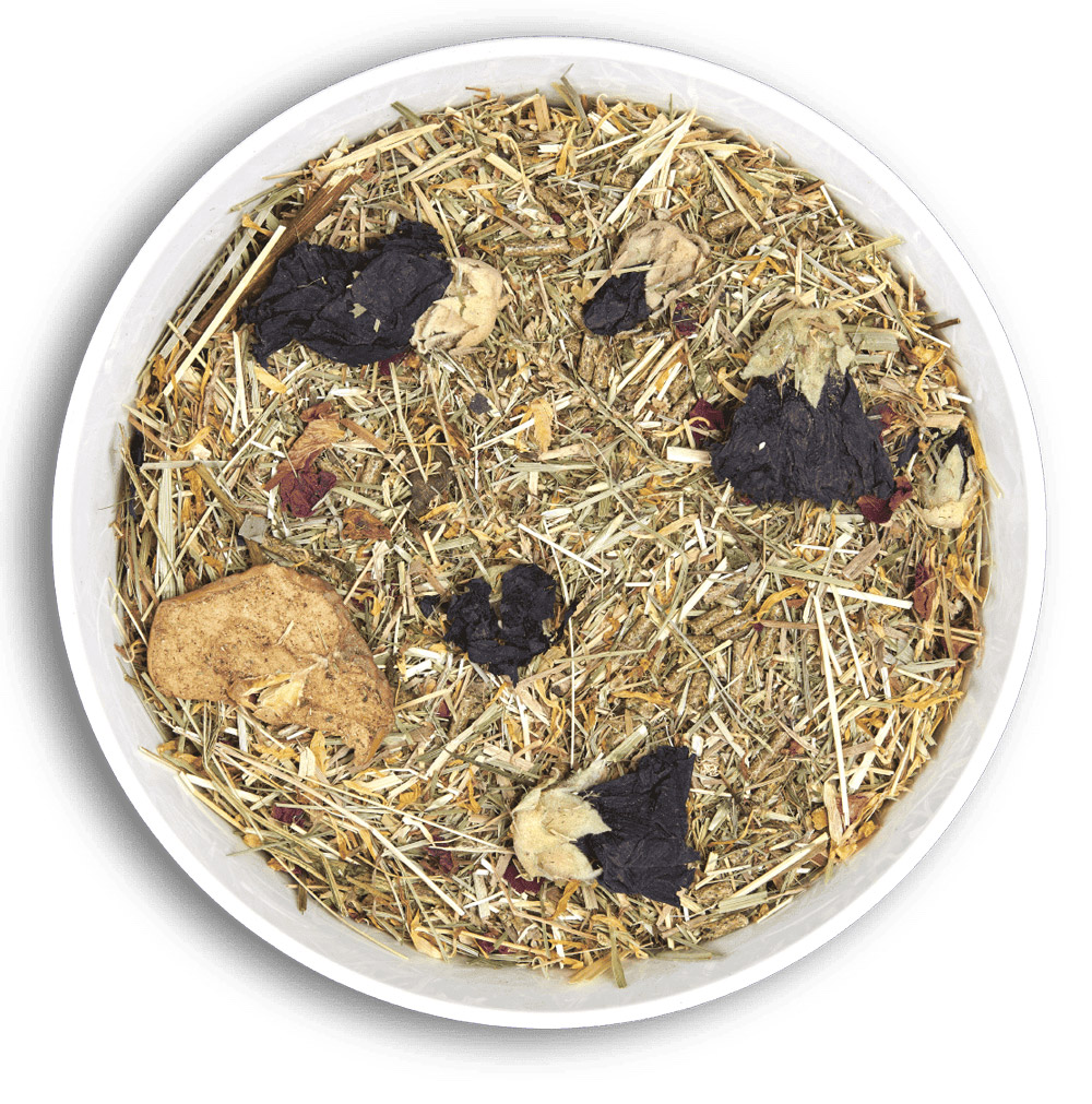 CUNIPIC – Vetline Rabbit Intestinal
