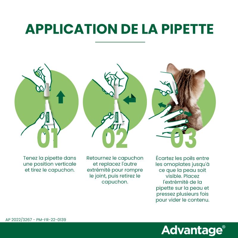 ELANCO - Advantage 40 per gatti e conigli - 4 kg