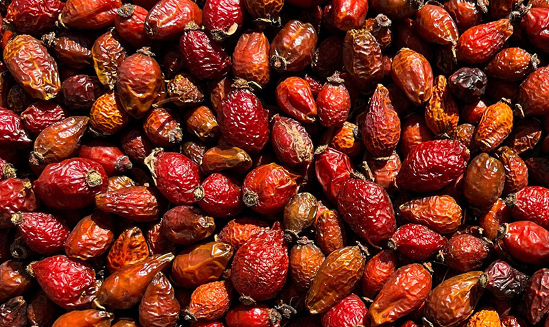 Rosehip Berries for Rodents