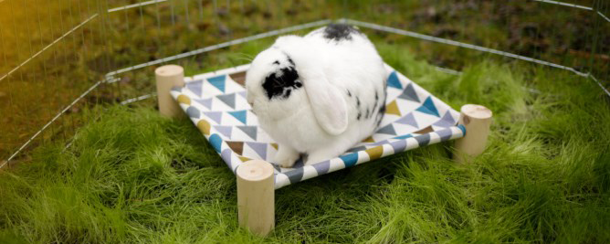 KERBL - Amaca per conigli e roditori